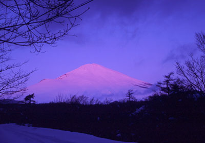 ���̒���