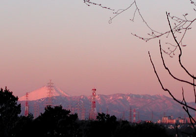 �U��������