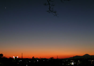 �U��������