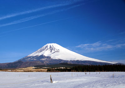 �������q�ꂩ��