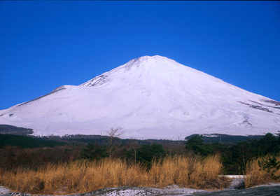 ���x�m���K�ꂩ��