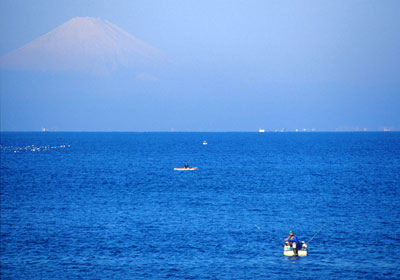 �t�R����