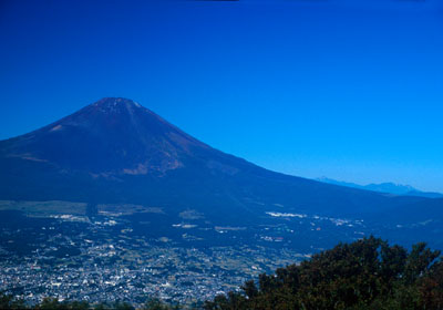 �����R����