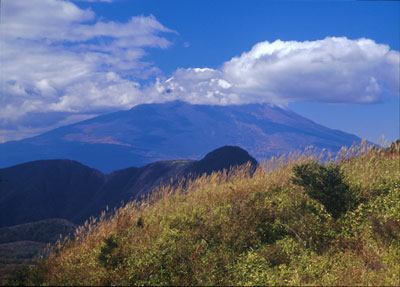 ���_���x����