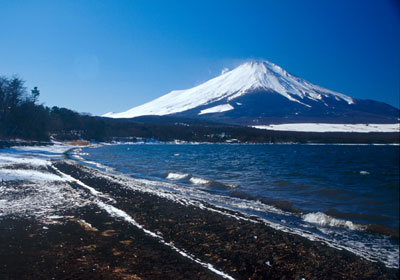 �R���΂���