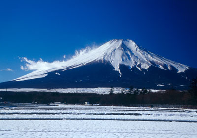 �R���Α�����