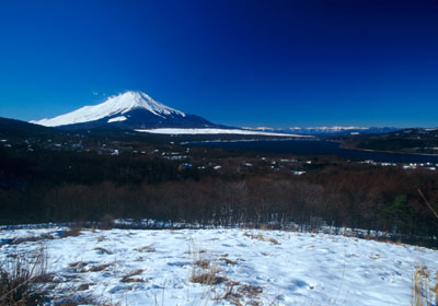 �R���Α�����