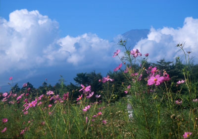 �R���Α�����